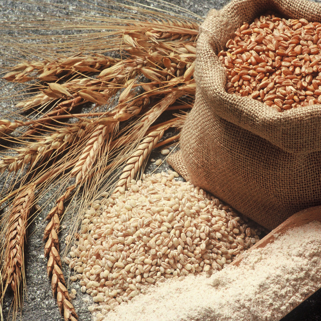 Granolas, avenas y galletitas