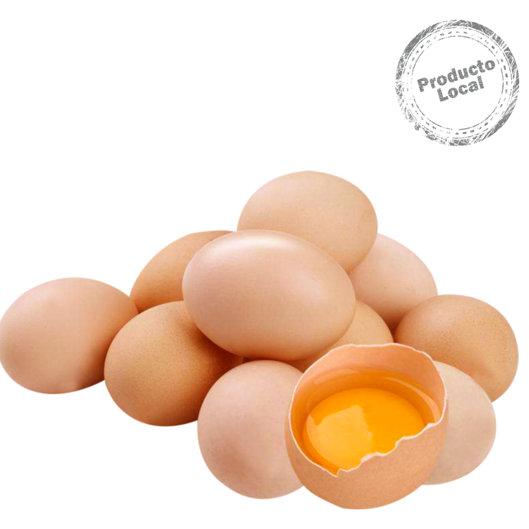 12 Huevos Gallinas Libre Ecoterra