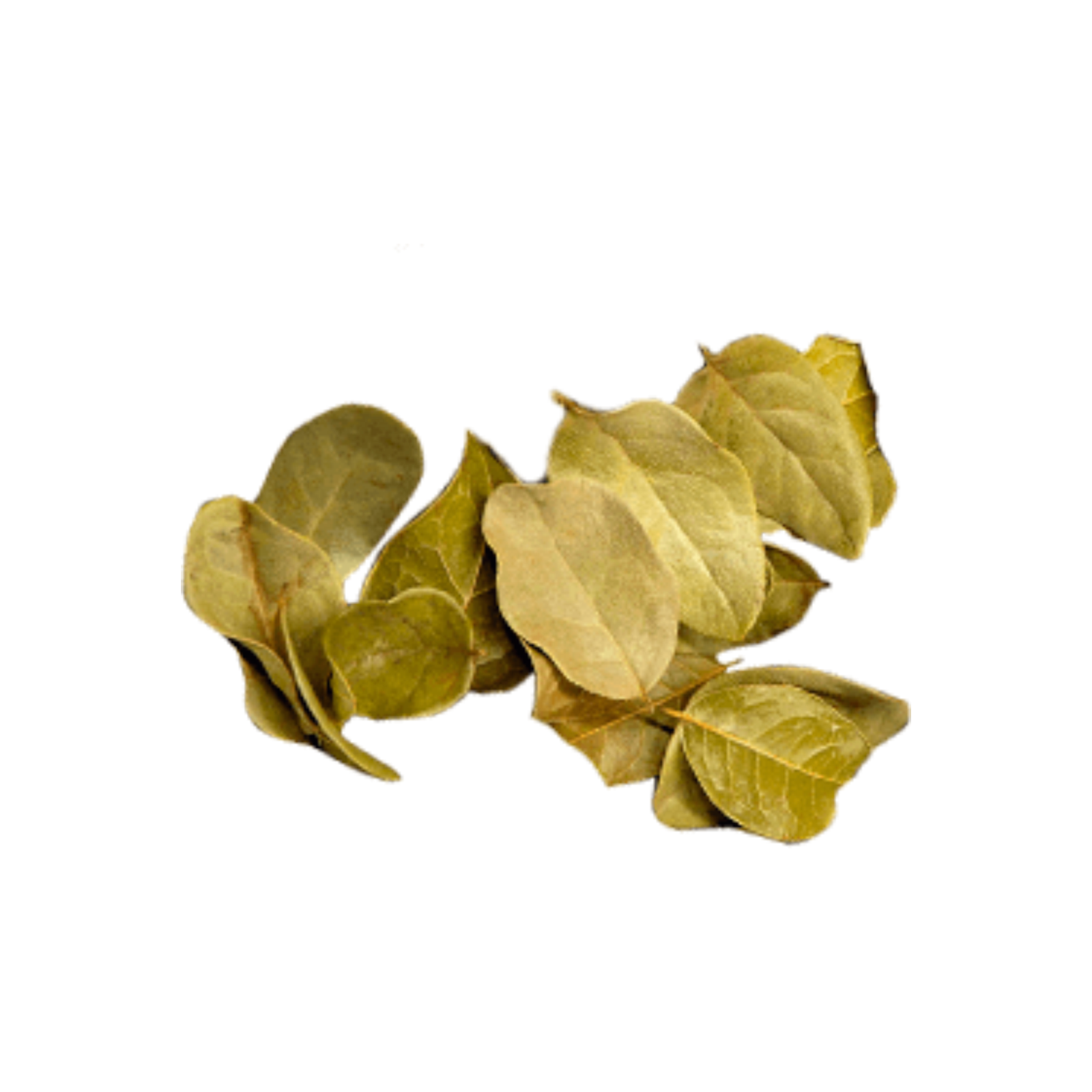 Boldo / 50grs